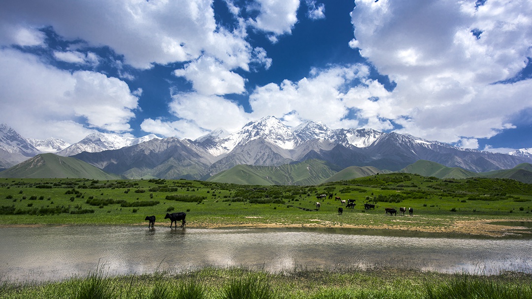 倍頭條 | 一周內倍杰特成功競得兩處銅礦！